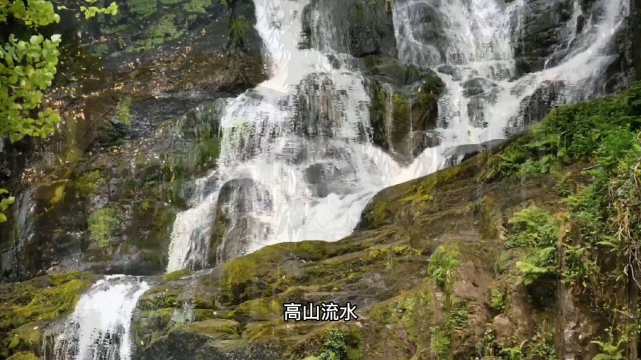 徐家汇商圈年味正浓,邀你一起“寻龙”过大年!|爱申活暖心春
